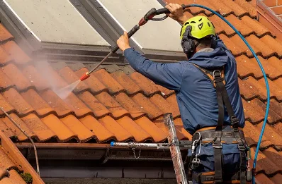 Démoussage et hydrofuge de toiture à Balbigny